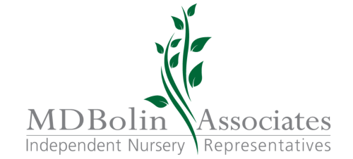 MDBolin Logo